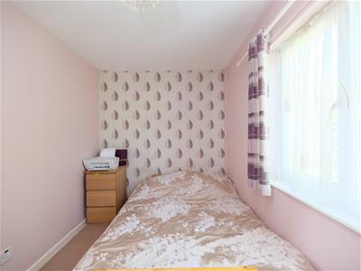 Picture 15